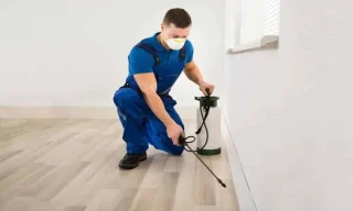 From Inspection to Treatment : How Tulsa Pest Control Works